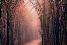 时隔近5年 谷爱凌再夺滑雪世界杯坡面障碍技巧冠军央视新闻客户端.