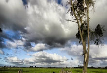 集训达到预期 国足全力以赴迎战沙特.