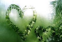 PG游戏:粤女篮时隔6年重返总决赛.