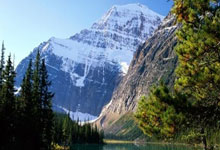 达洛特:相信阿莫林会在英超立足;与C罗并肩作战是荣幸.